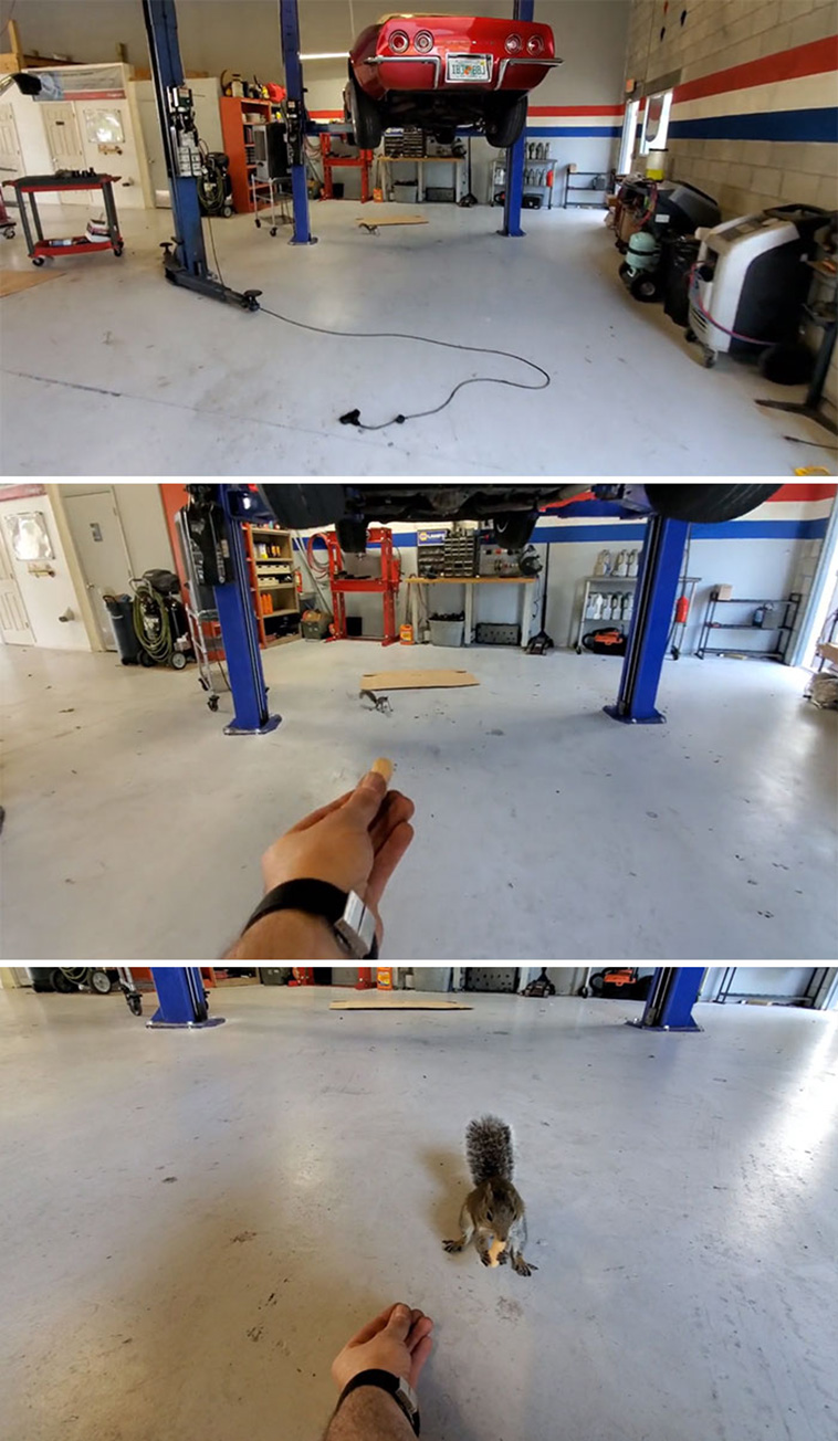 crazy car repair
