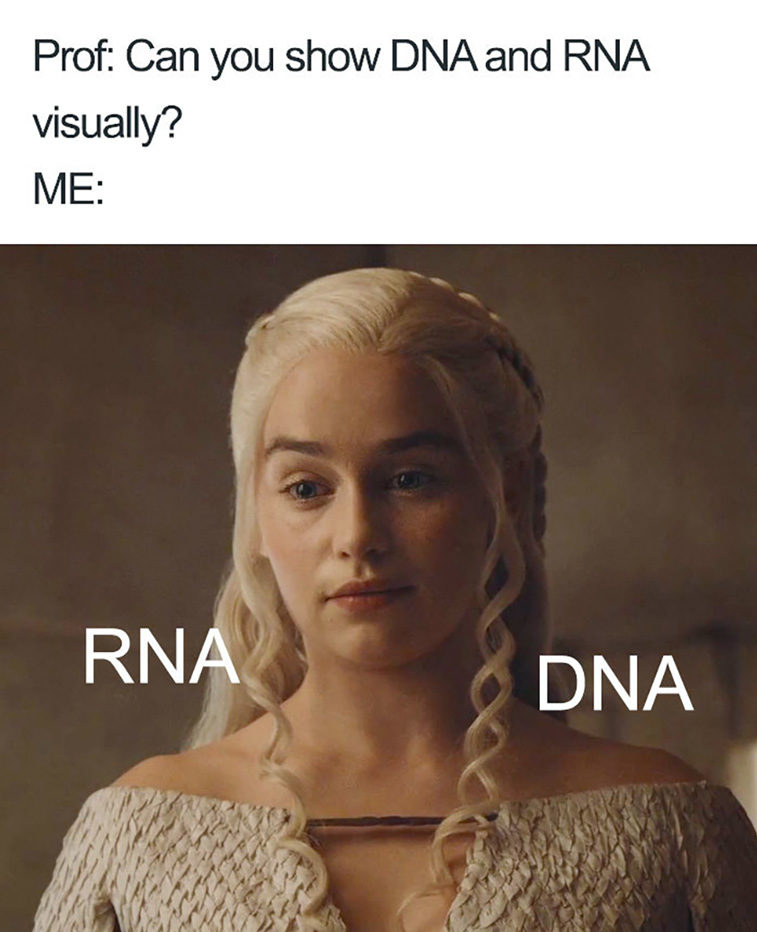 doctor memes
