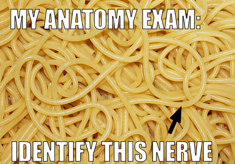 doctor memes