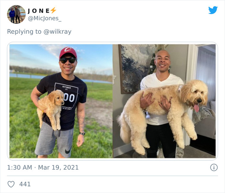 dogs growing up
