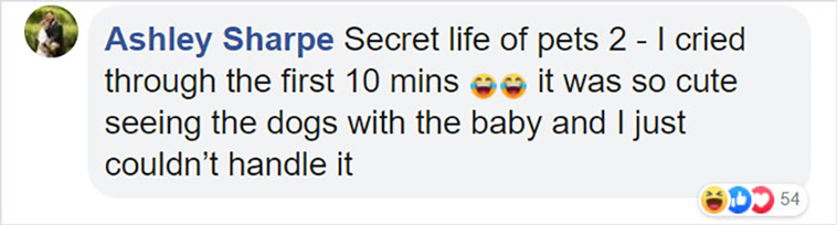 during pregnancy