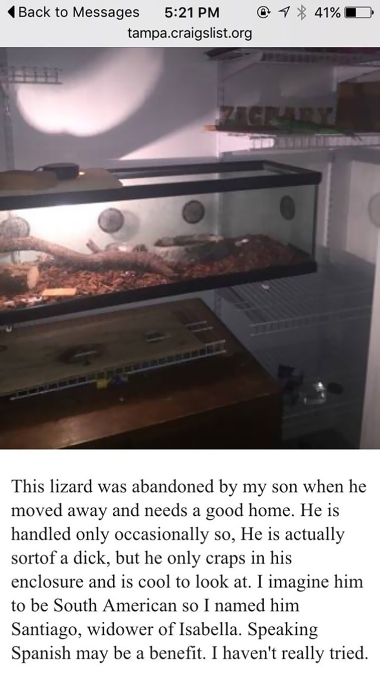 funniest parents