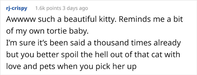 give the cat away