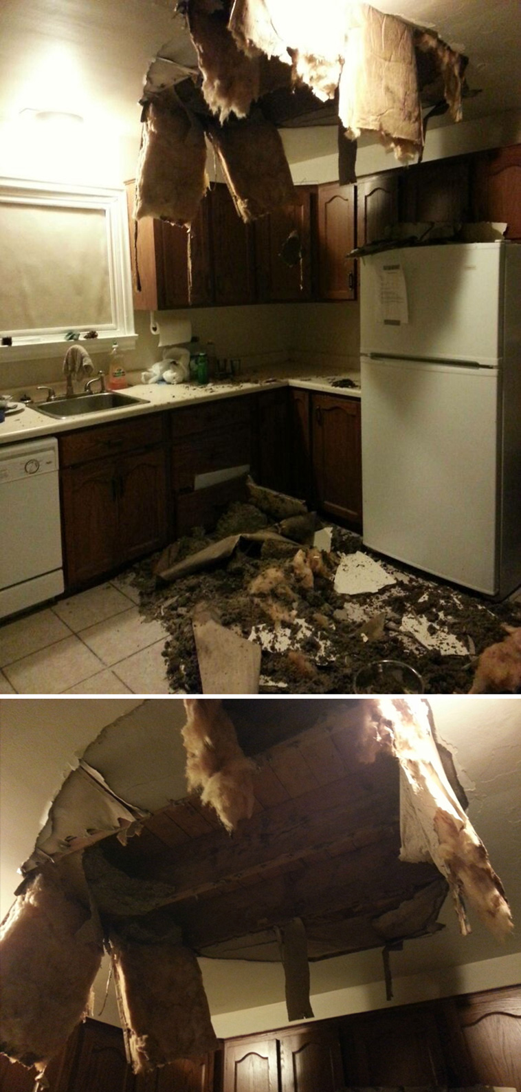 bad landlords