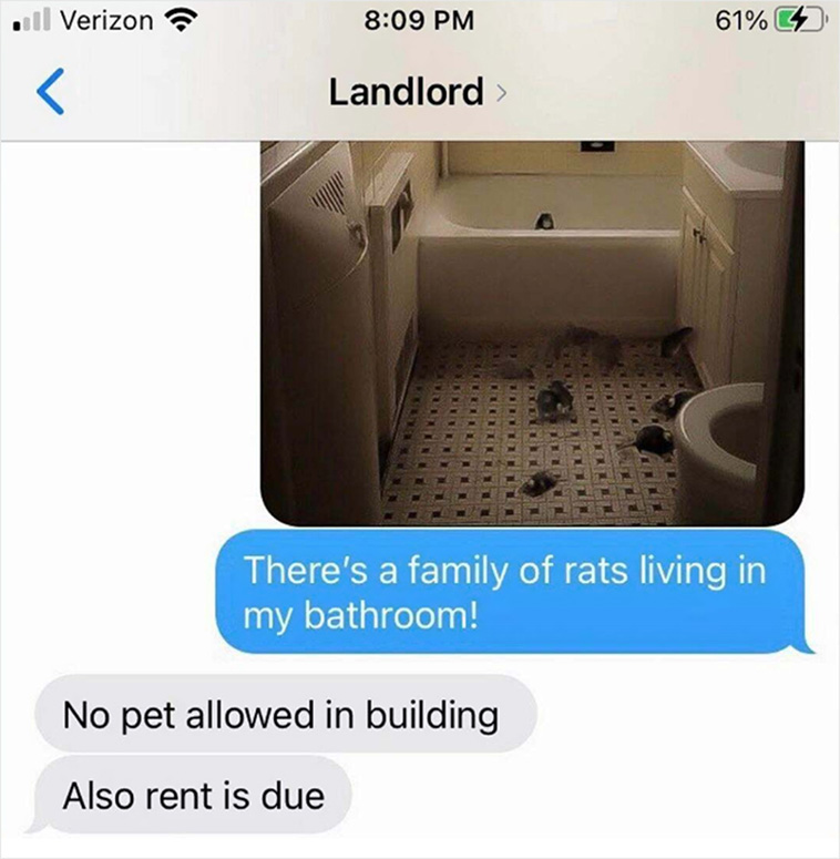 bad landlords