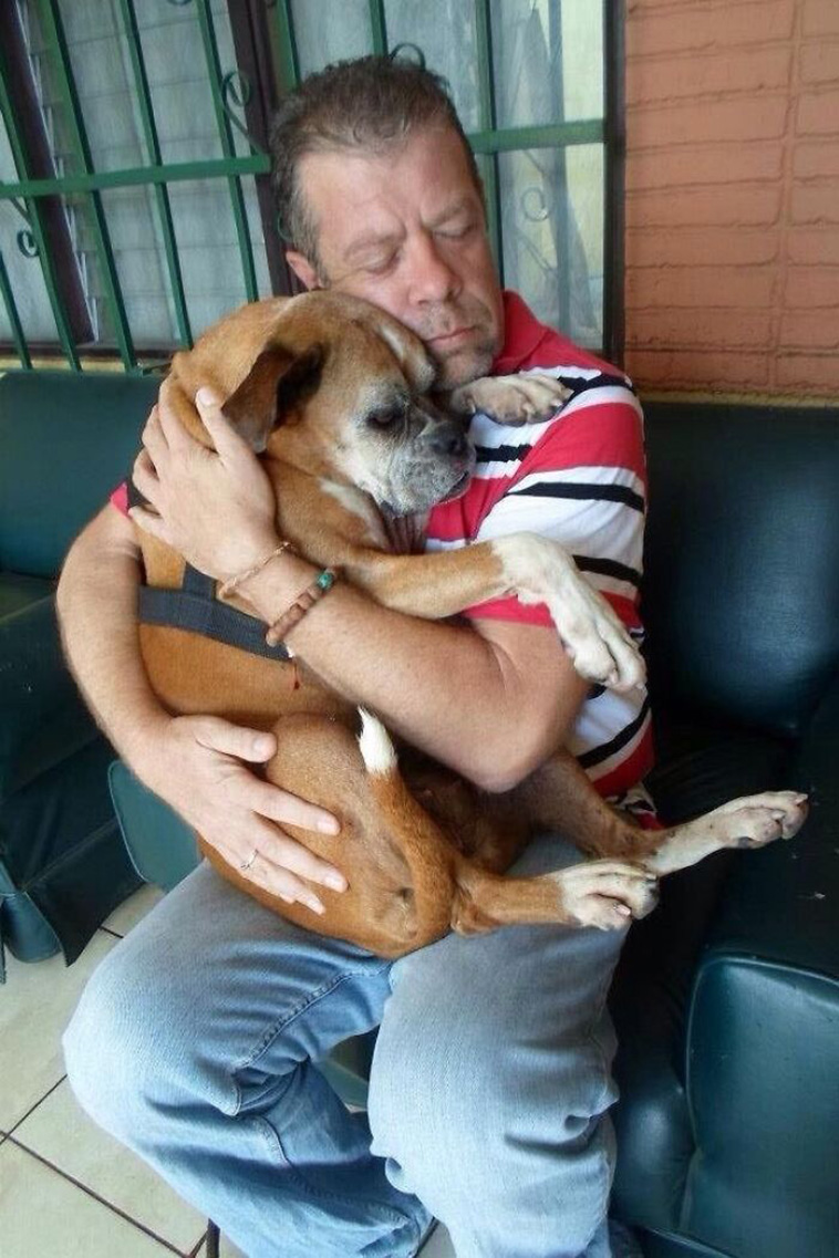 missing dogs