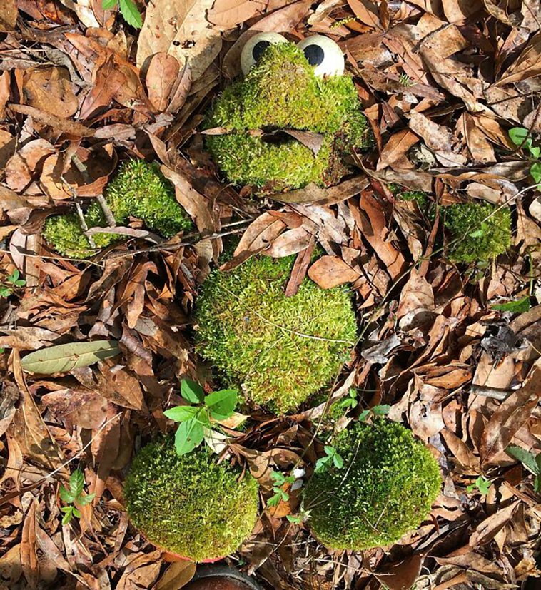 nature takes back