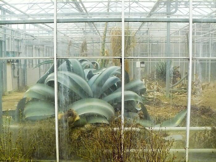 nature takes back