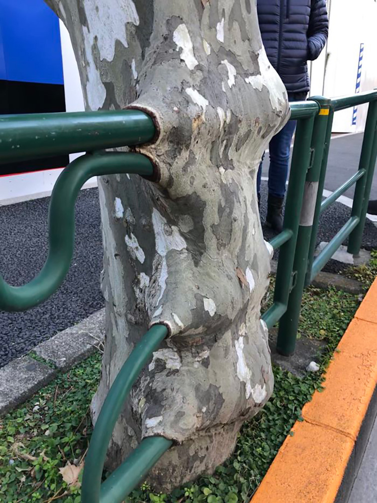 nature takes back