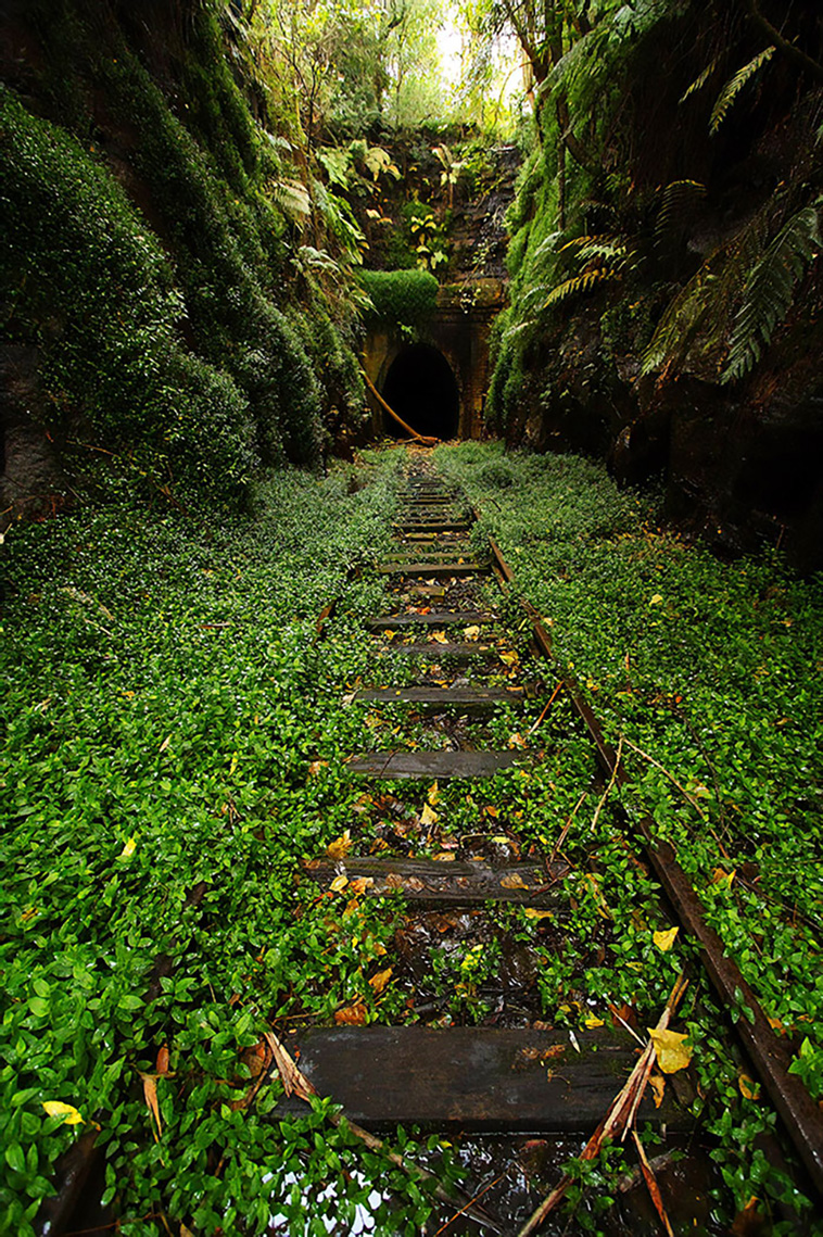 nature takes back