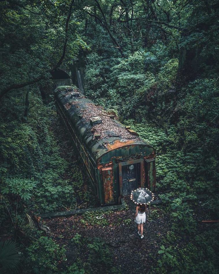 nature win