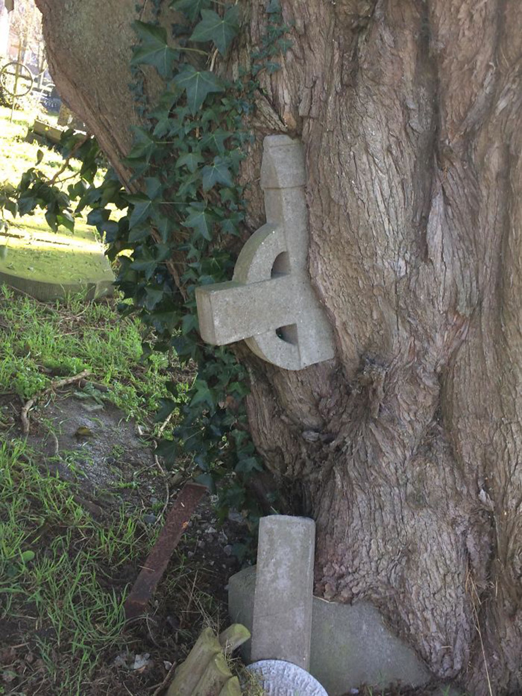 nature win