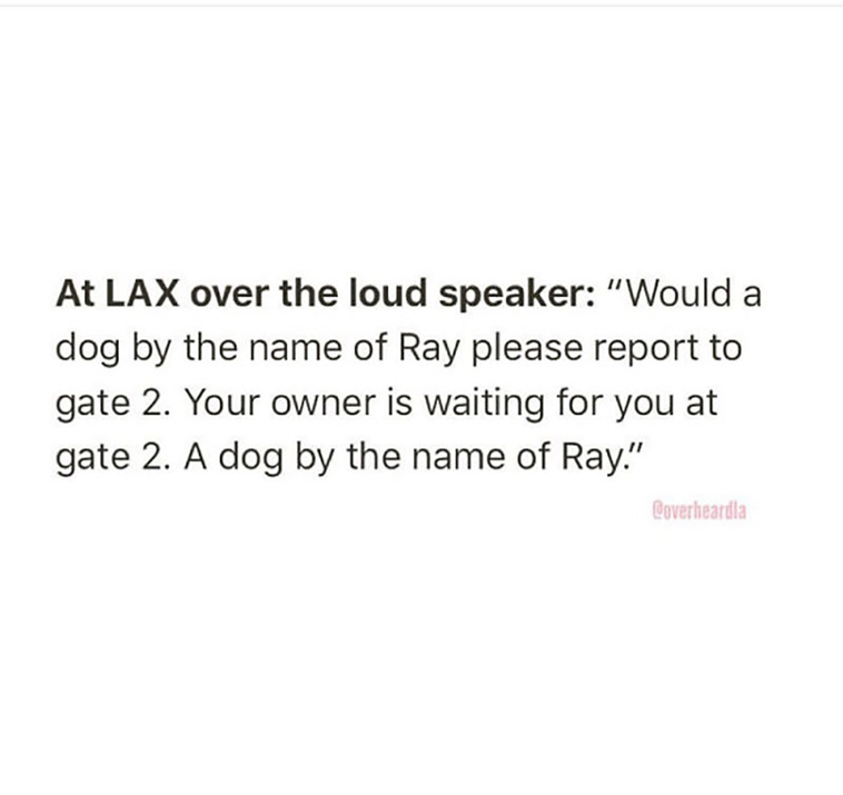 overheard in L.A.