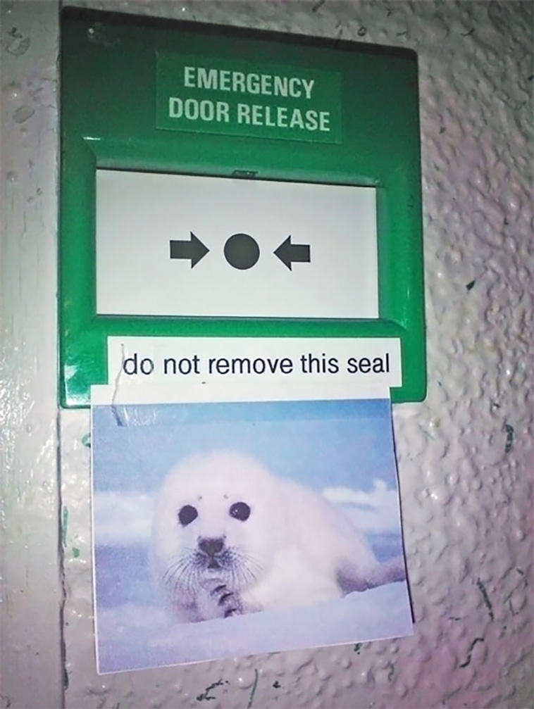 public notices
