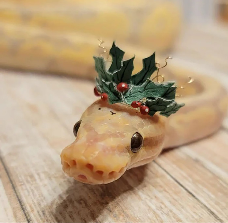 snakes with hats