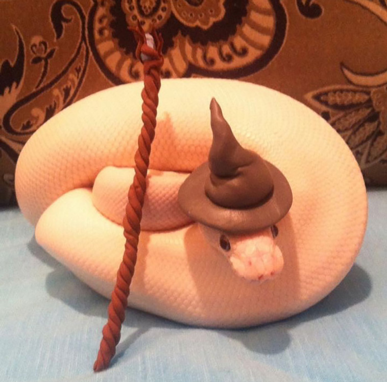 snakes with hats