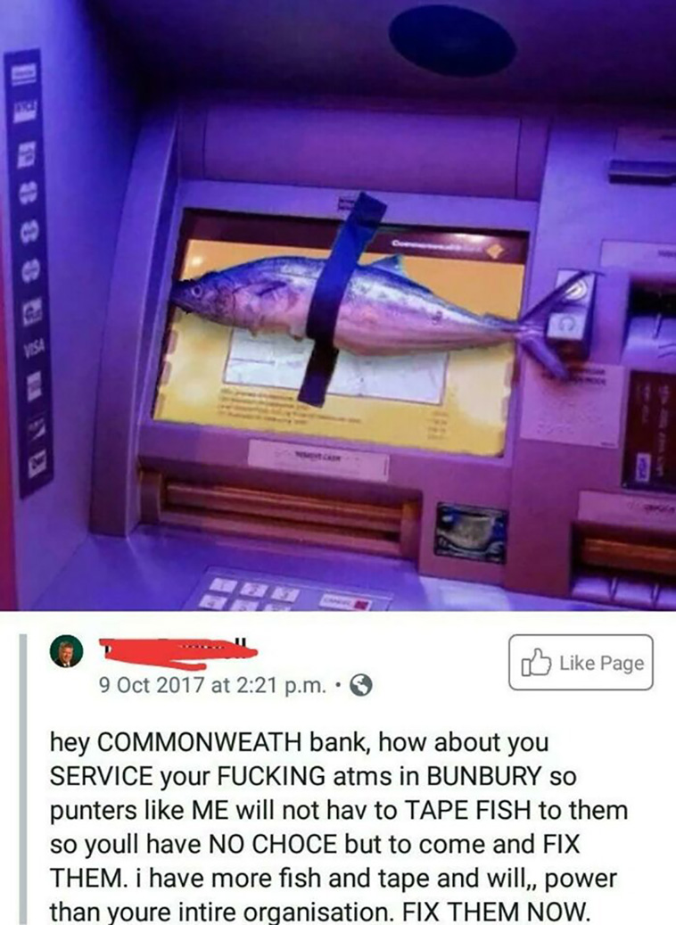 social media posts