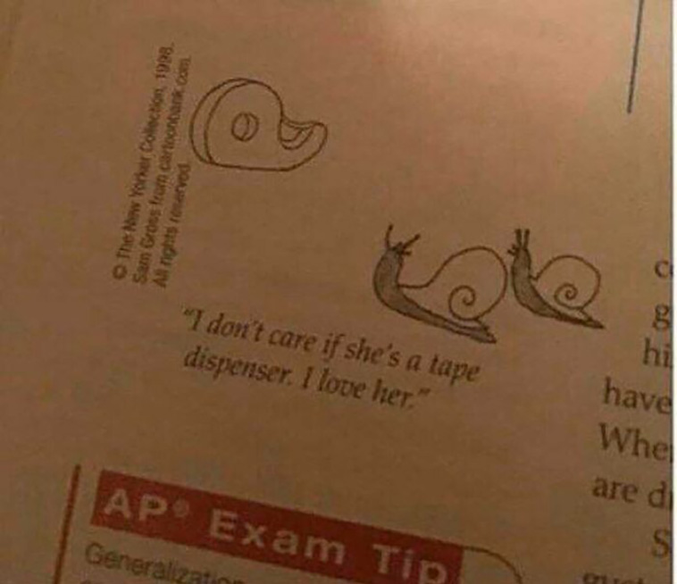 social media posts