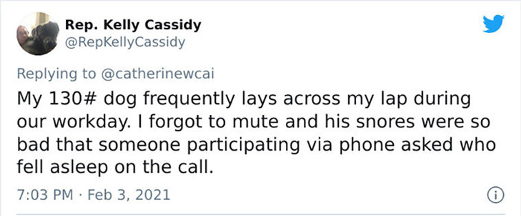 zoom calls