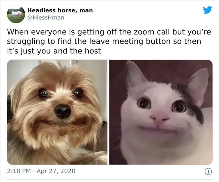 zoom calls