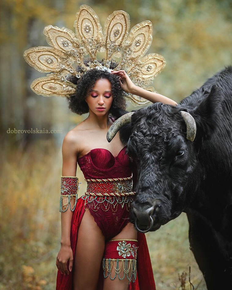attractive harmony