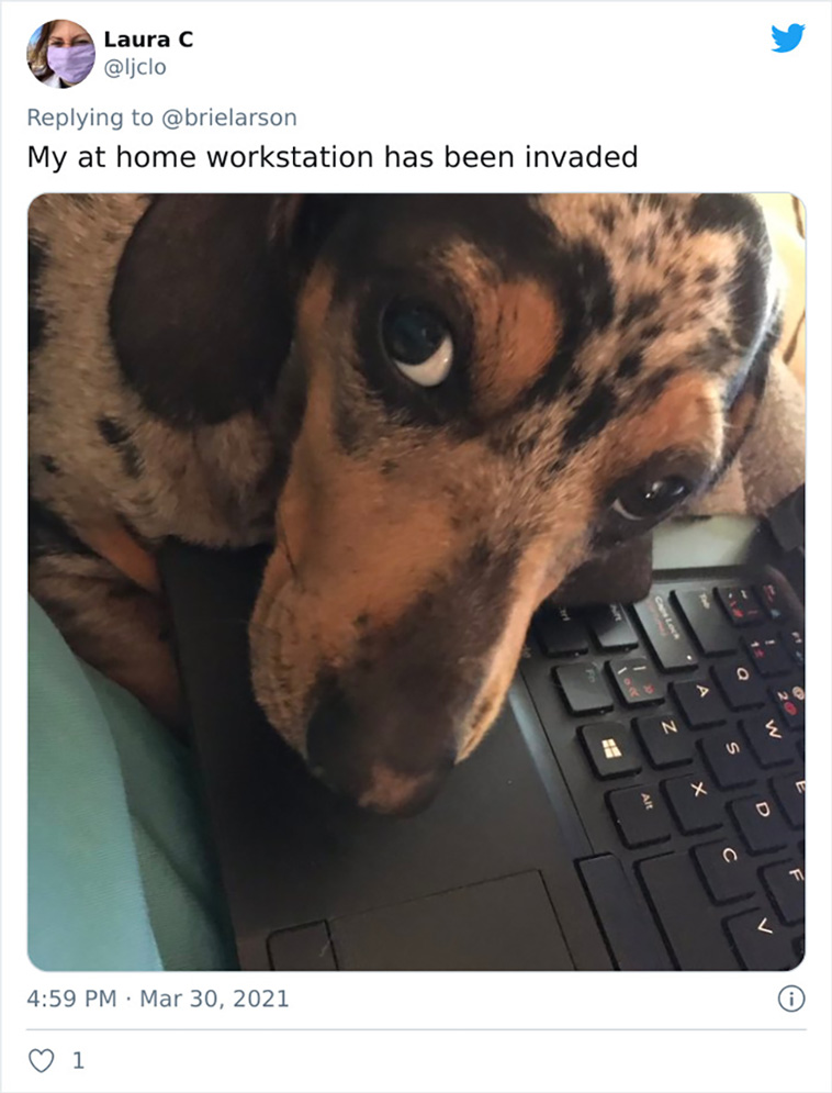 being in quarantine