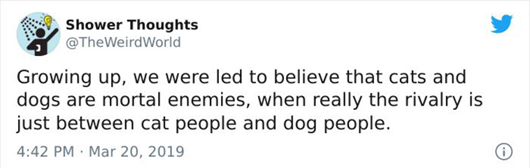 Dog People Cat People