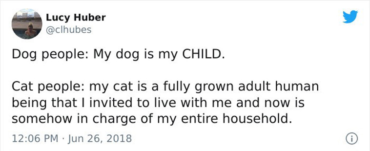 Dog People Cat People