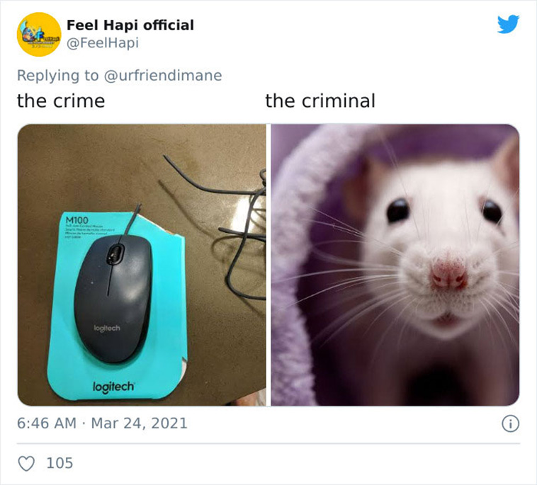 criminal pets