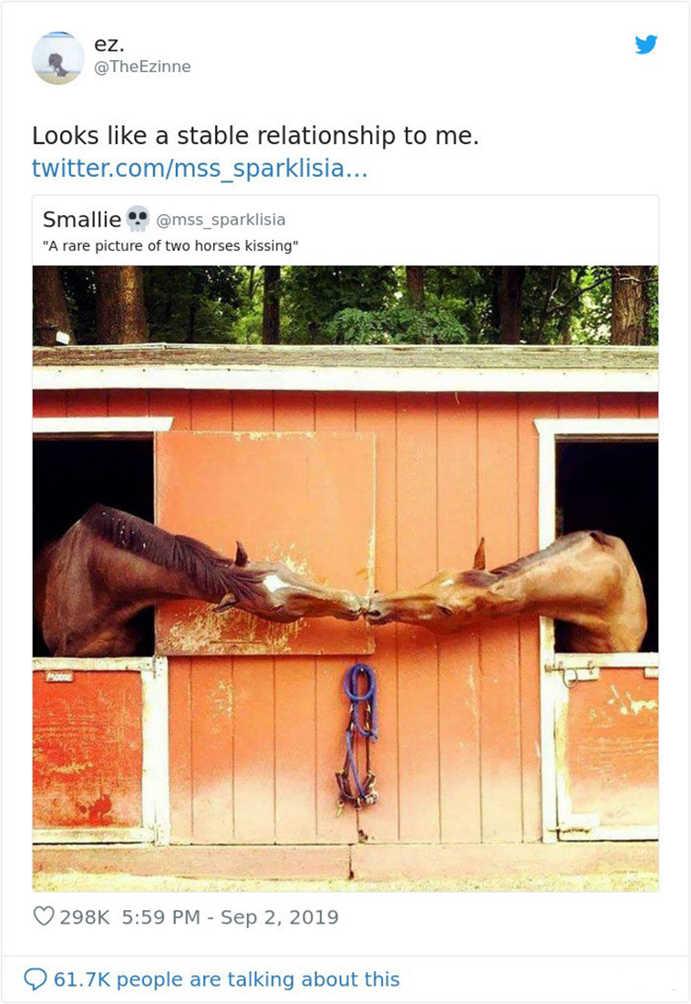  Hilarious Puns
