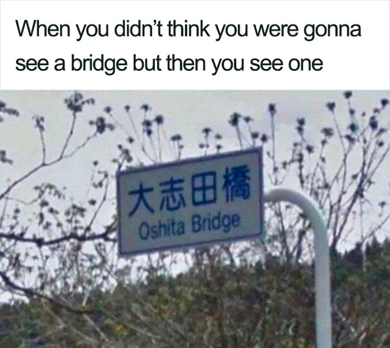  Hilarious Puns