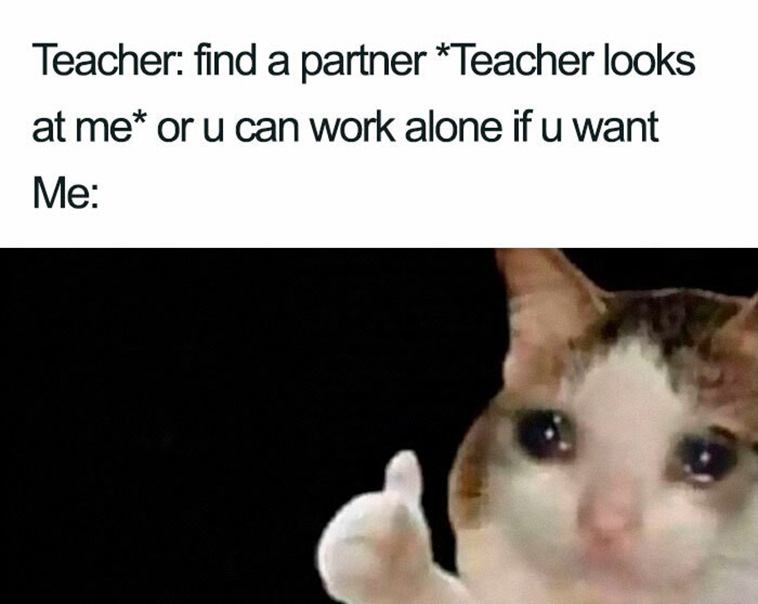 Introvert Memes