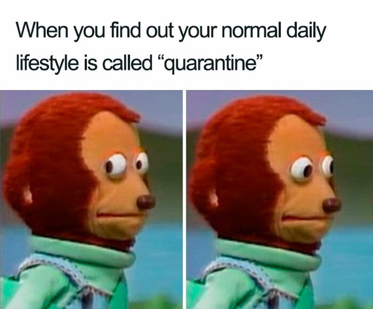 Introvert Memes
