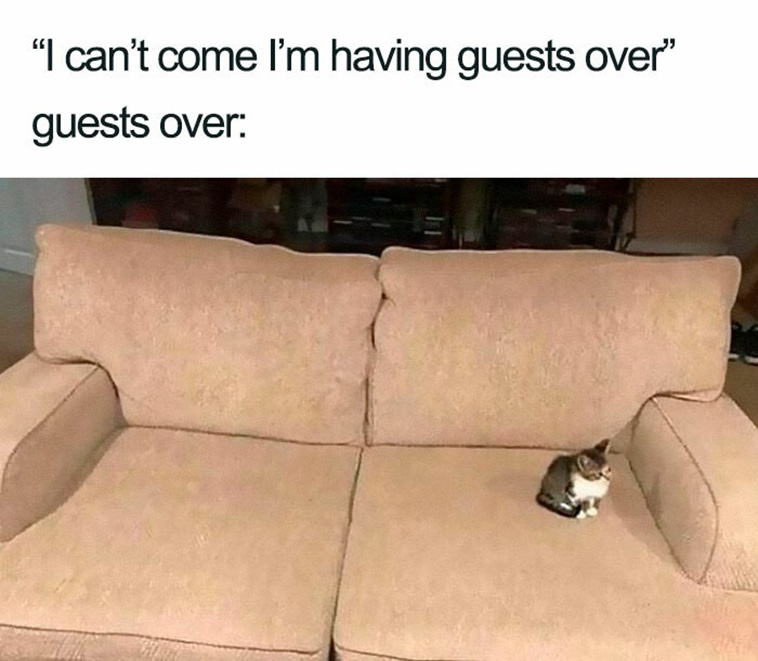Introvert Memes