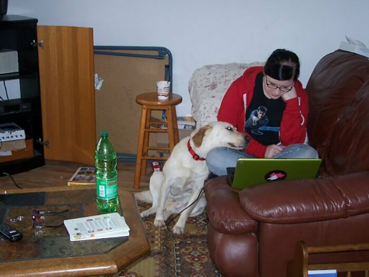 lovely pets