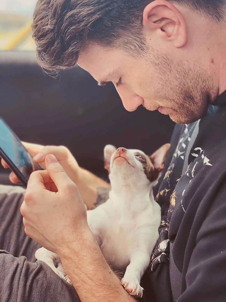 lovely pets