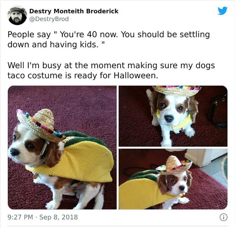 no kids