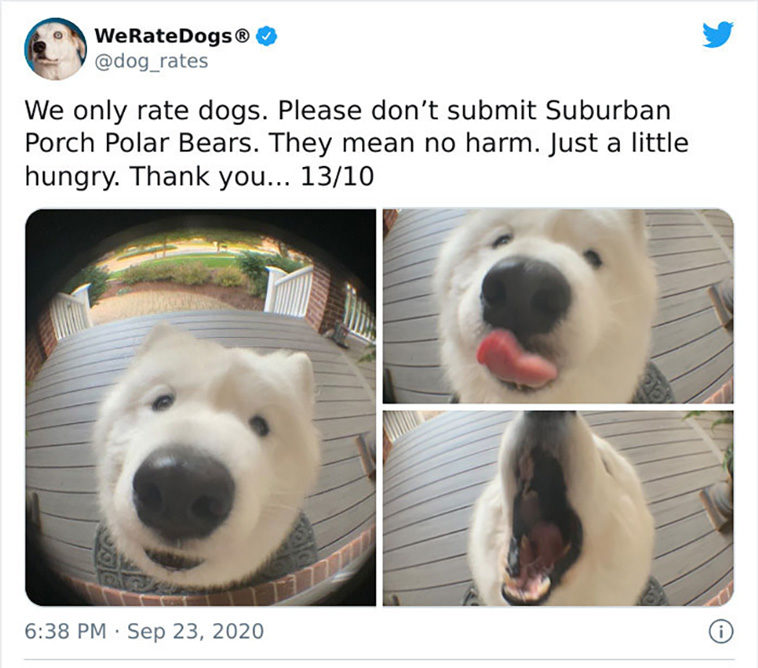 rate dogs