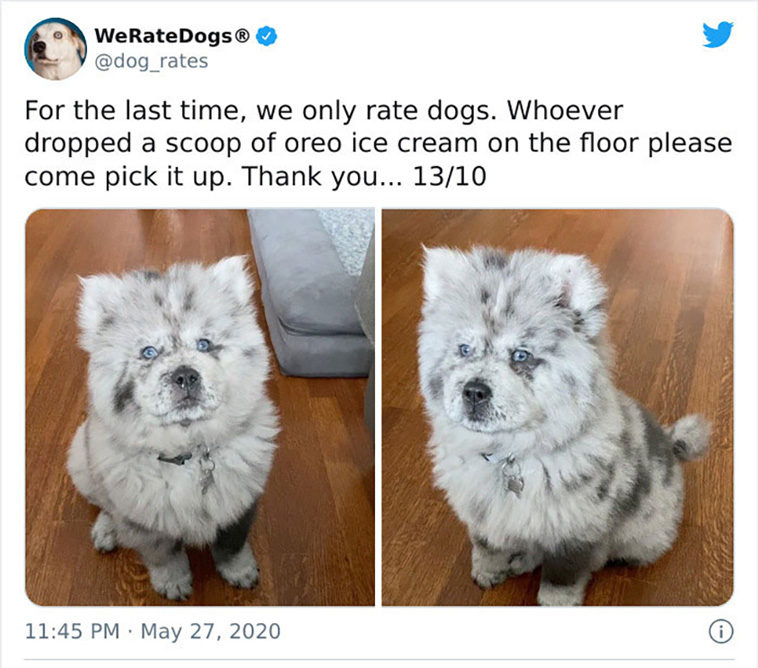 rate dogs