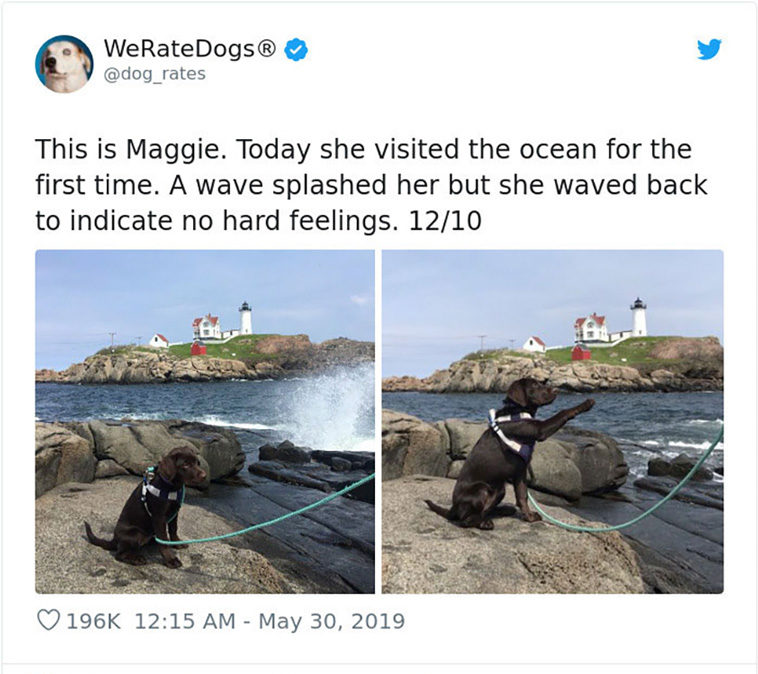 rate dogs