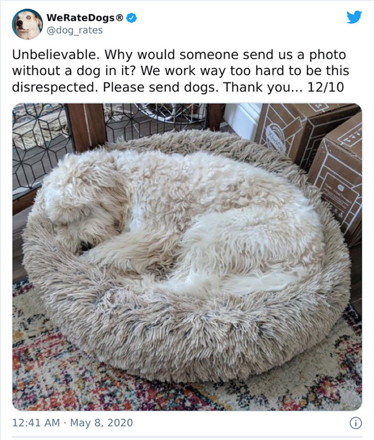 rate dogs