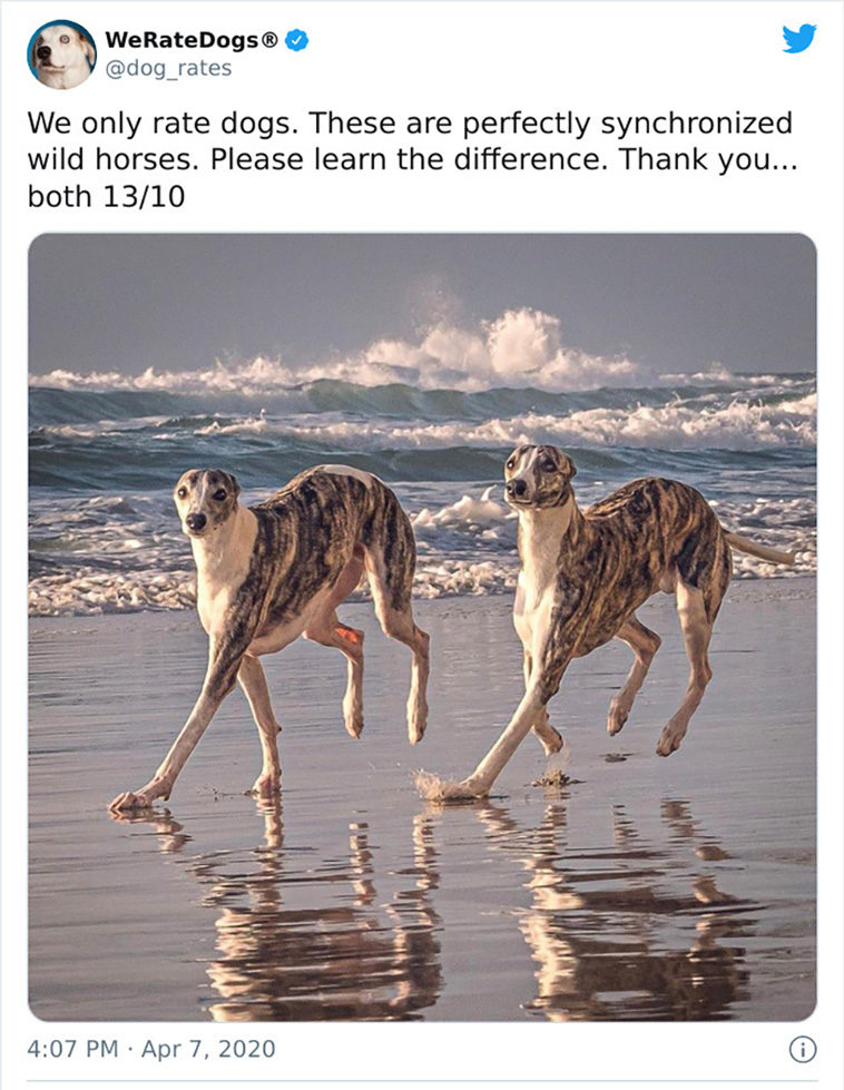 rate dogs