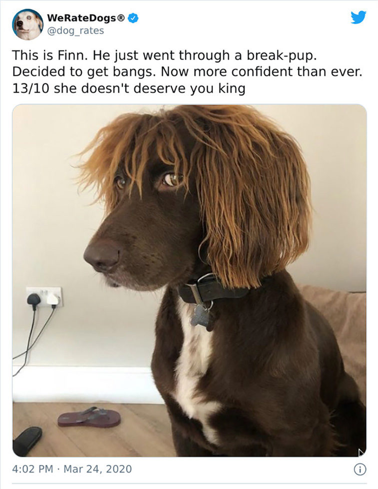 rate dogs
