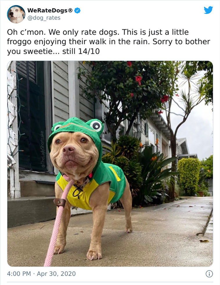 rate dogs