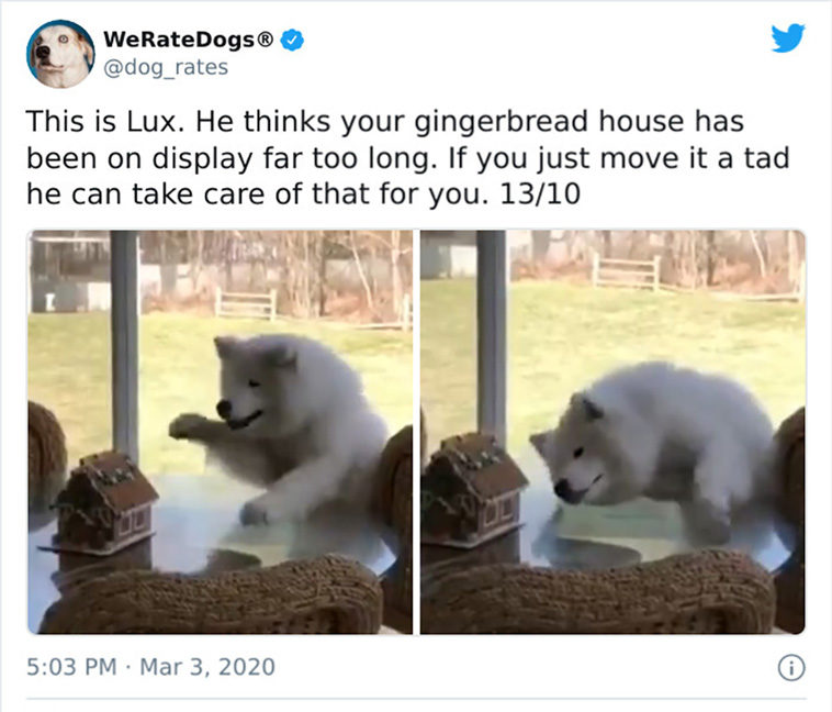 rate dogs