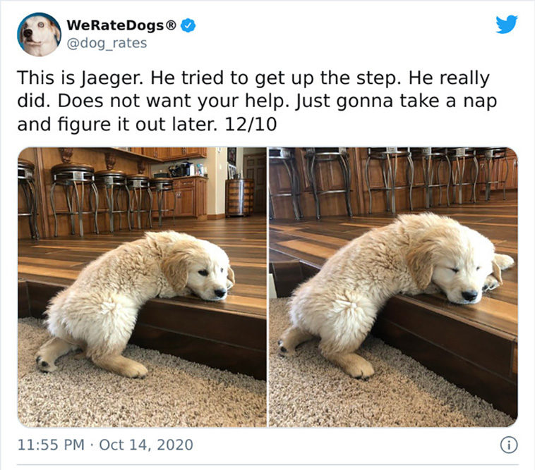 rate dogs