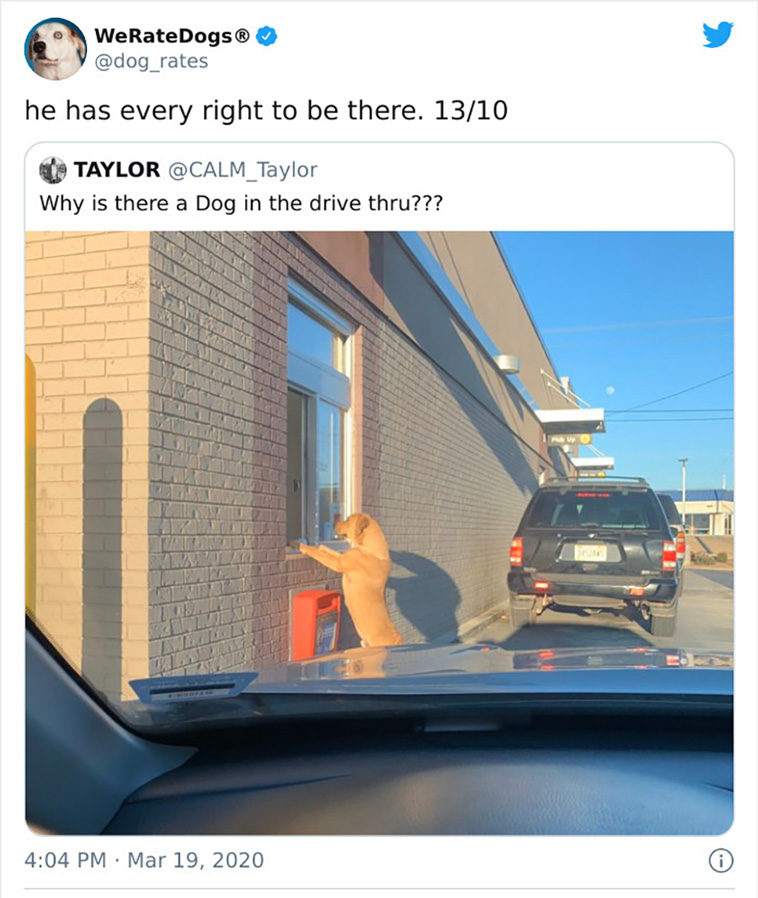 rate dogs