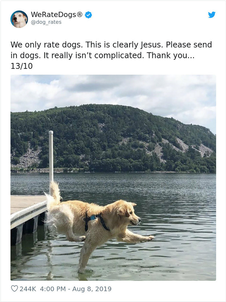 rate dogs