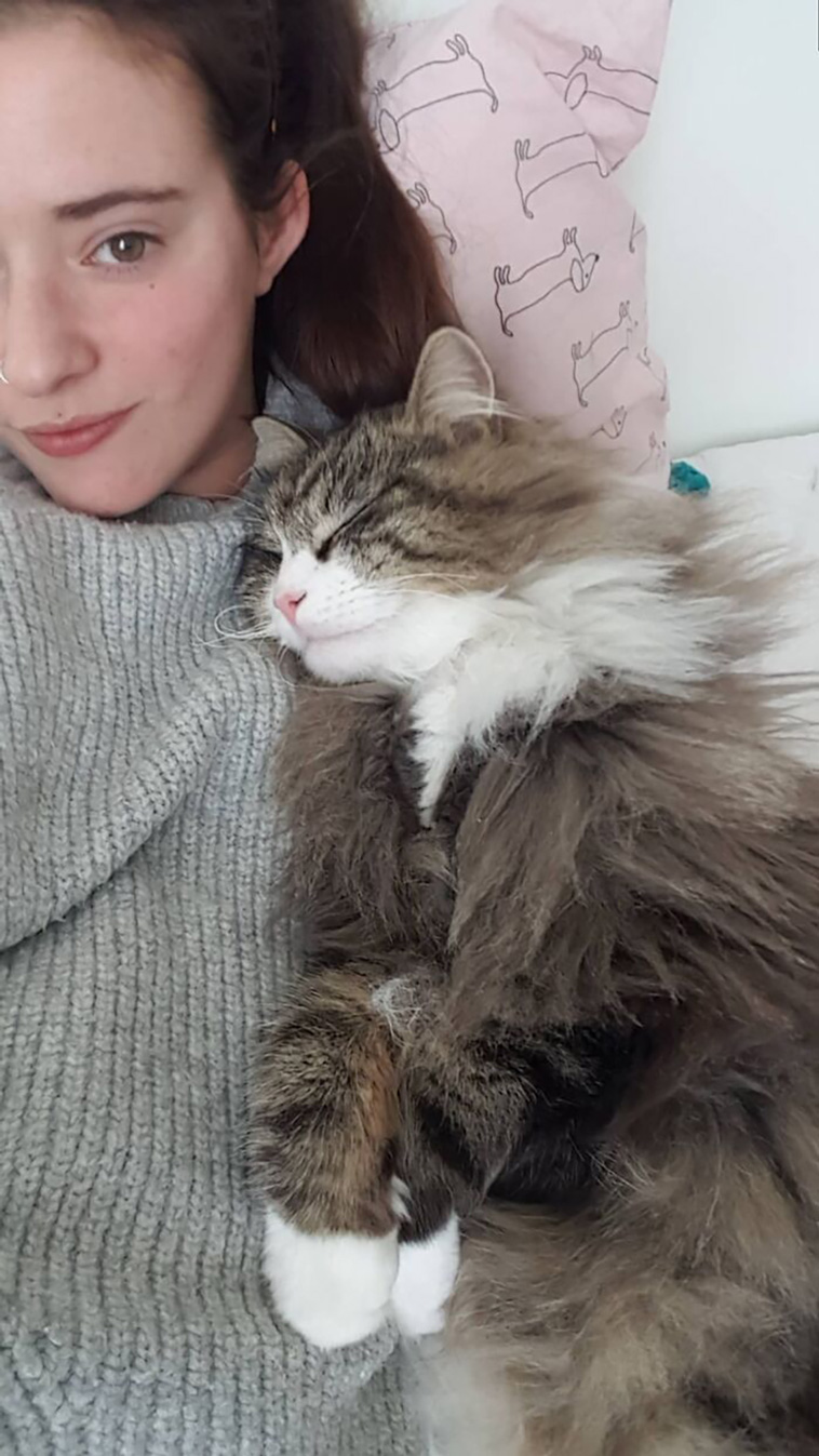 rescued pets