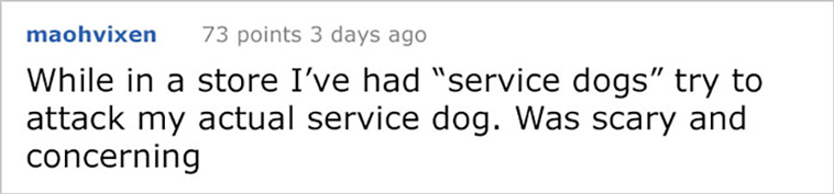 service dogs